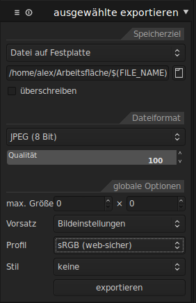 Das Exportmodul von Darktable, in dem man auch das entsprechende Profil wählen kann.