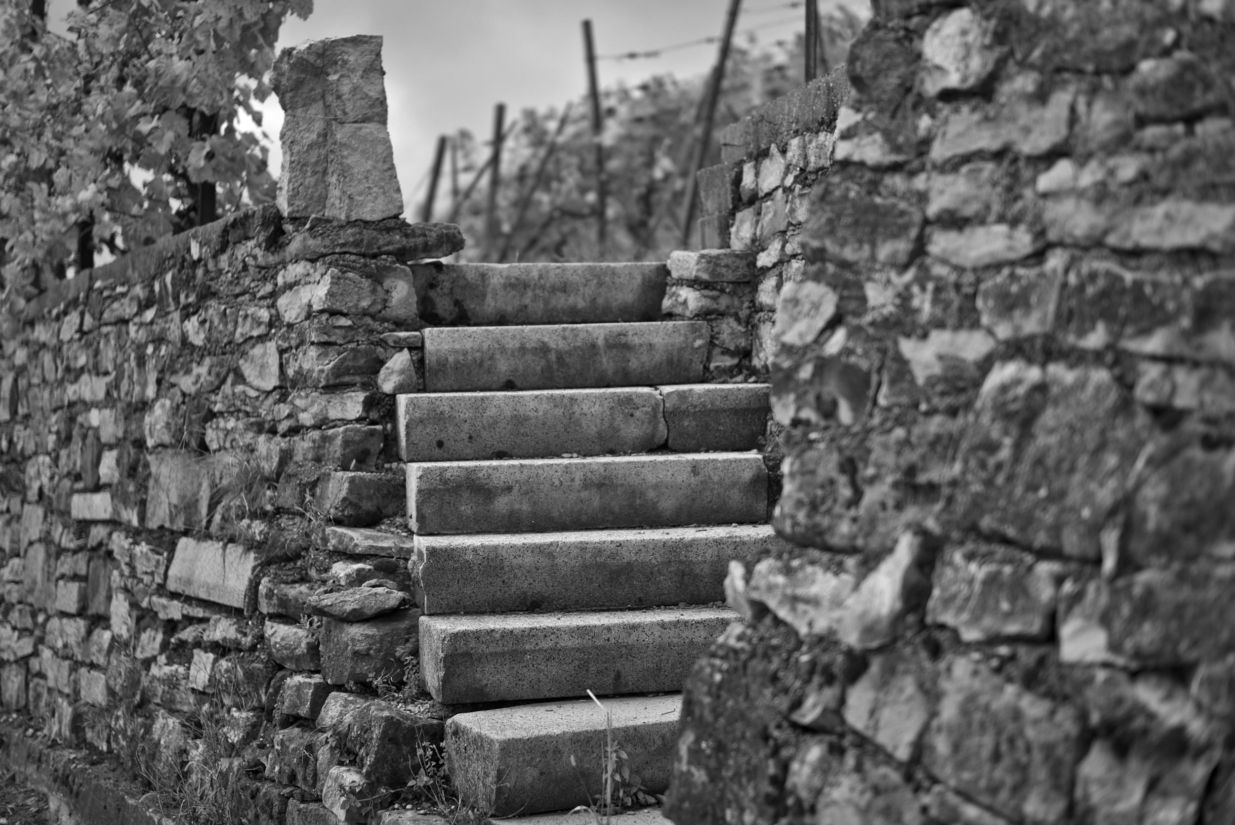 Treppe zum wein. Fotografiert mit Leica M und Summilux-M @ f/1.4.