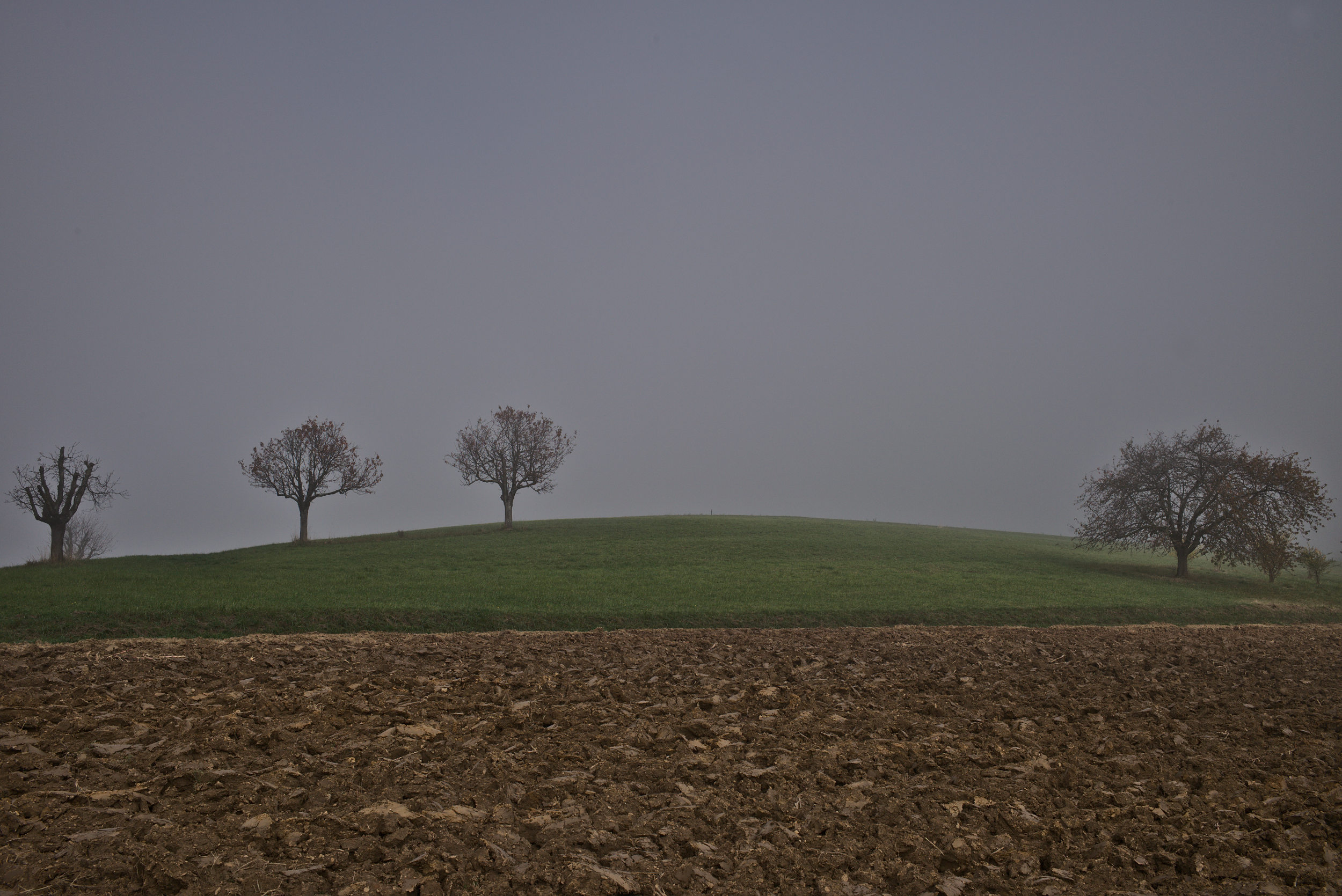 Die 4 - fotografiert mit Leica M und Summicron-M 35 mm @ f/6.0.